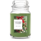 Yankee Candle Mistletoe, Christmas Scented Candle, 22oz Large Jar with up to 150 Hour Burn Time, Giftable, Holidays