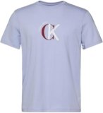 Calvin Klein SS 30S Whsl Ckj 2Tone CK Graphic Lv14Re829G Magliette grafiche, Purple (Casual Blue), S Adulto