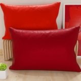 PETTI Artigiani Italiani – Coppia di Federe Cuscino 70×40 cm in Microfibra, Cuscini Arredo Camera da Letto, Divano, Set 2 Fodere Copricuscino, Federa Double Face Rosso e Bordeaux