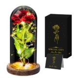 Seachrgif Rosa Eterna Rossa,Regali Festa Della Mamma,Moglie,Fidanzata, Madre, Sorella, Cognata, Migliore Amica, Suocera e Amica, Compleanno, Matrimonio,Festa Mamma Idee Regalo