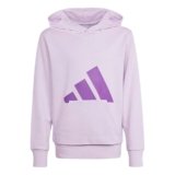 adidas Mixte Enfant Essentials Big Logo Hoodie, Ice Lavender/Active Purple, 13-14 Years