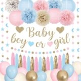 Ouddy Party Baby Gender Reveal Decorations, Pink Blue Sand White Balloons Glitter Boy or Girl Banner Moon Star Circle Garland Paper Tassels Lanterns for Boho Gender Reveal Birthday Party Supplies
