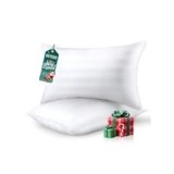 HEYCUZI Queen Size Bed Pillows Set of 2 – Premium Down Alternative Breathable Pillows for Side, Back, and Stomach Sleepers Fluffy Hotel Quality Soft Microfiber Fill Cooling Skin-Friendly