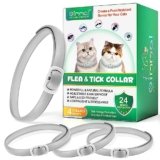 4 Pezzi Collare Antiparassitario per Gatti, Collare Antipulci Gatto Naturale, Impermeabile Collare Antipulci e Zecche per Gatti, 24 Mesi
