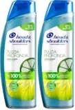 Head & Shoulders Pulizia Profonda Capelli Grassi, Contro La Forfora, Con Agrumi, Senza Siliconi, Per Capelli Fino Al 100% Liberi Dalla Forfora, 250 ml (Confezione da 2)